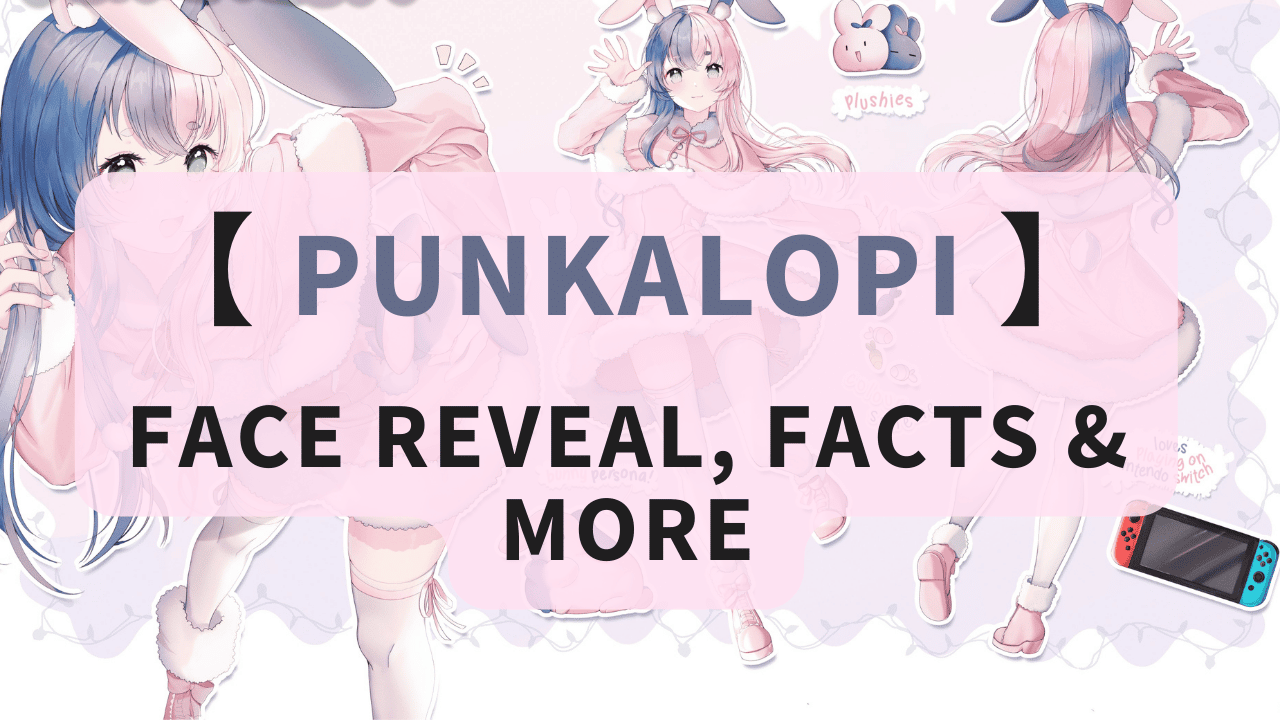 Punkalopi | Face Reveal, Interesting Facts, Height & More