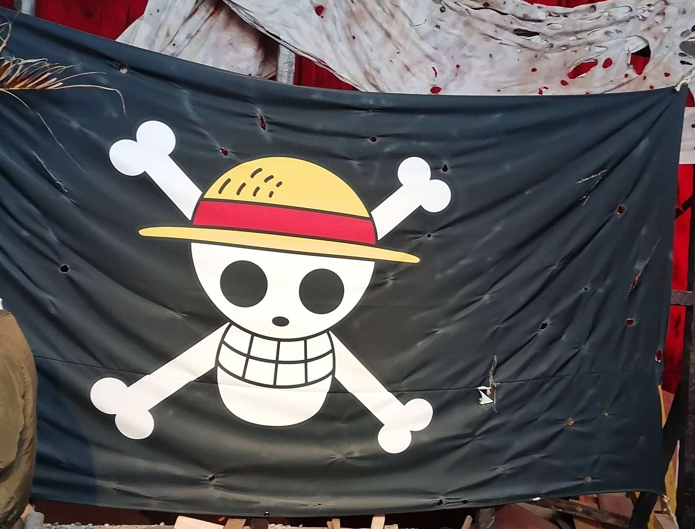 Straw Hat Pirates Jolly Roger flag from One Piece