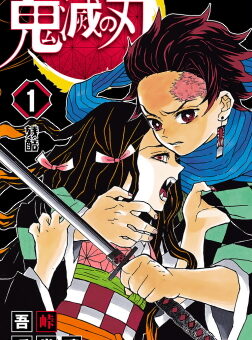 Tanjiro Kamado on the Demon Slayer Kimetsu no Yaiba volume 1 cover