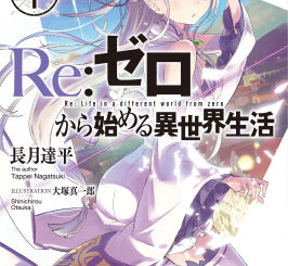 Re:Zero Subaru and Rem official cover art, ranked best isekai anime