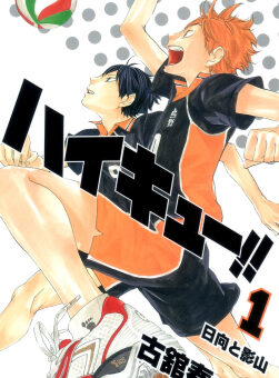 Haikyuu characters Shoyo Hinata and Tobio Kageyama in Karasuno High volleyball uniforms