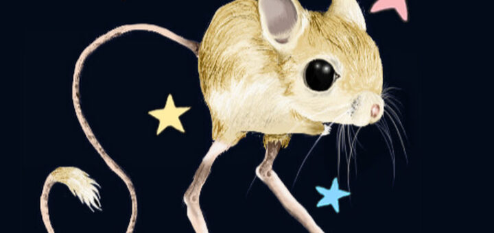 Dooby VTuber dooby3D jerboa desert mouse official channel avatar with pastel stars