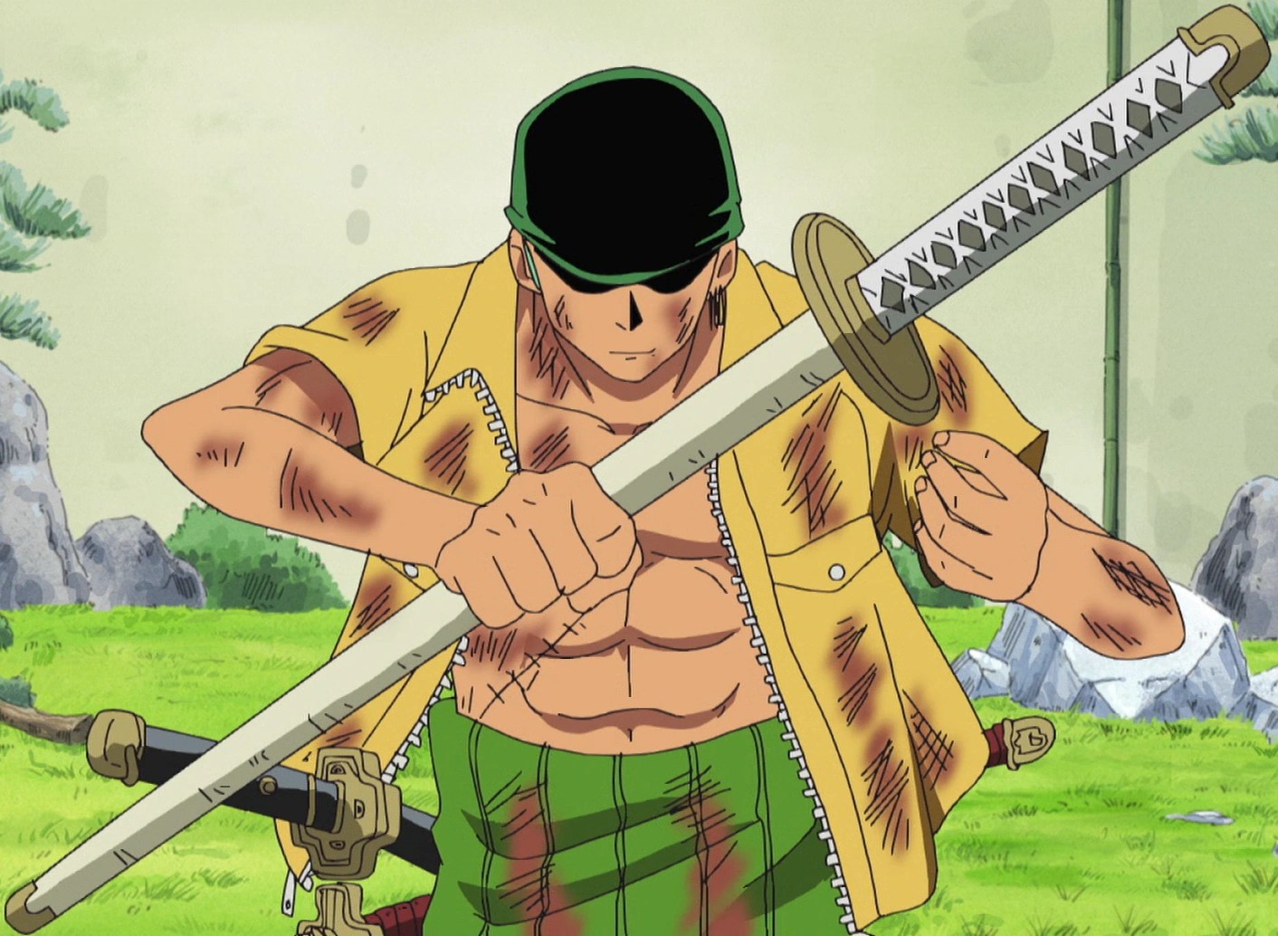 Zoro holding his white blade Wado Ichimonji