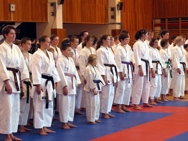 Japanese martial arts students lined up by colored belt rank showing the senpai kohai hierarchy