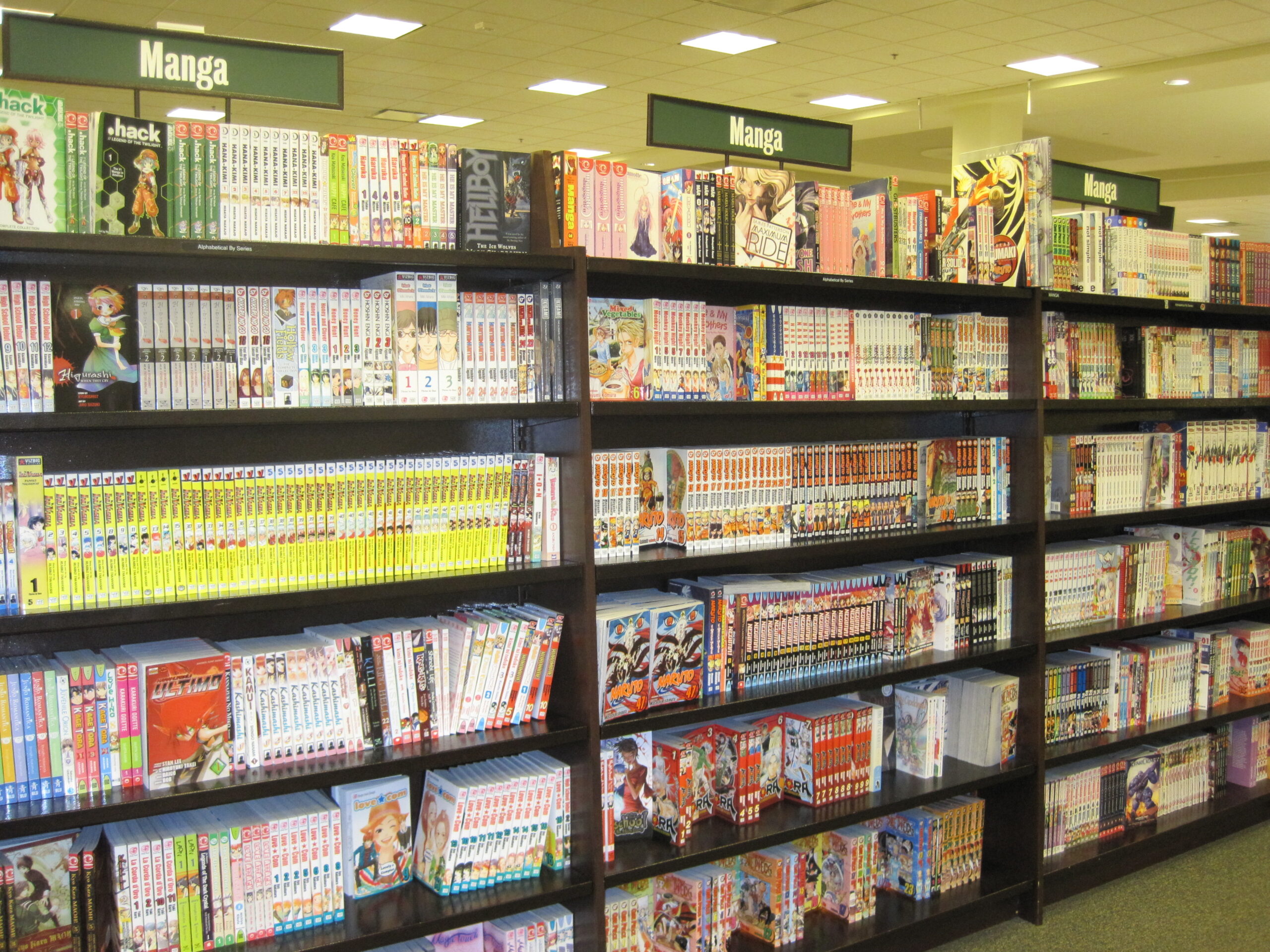Row of real Japanese manga volumes lined up on a bookstore shelf